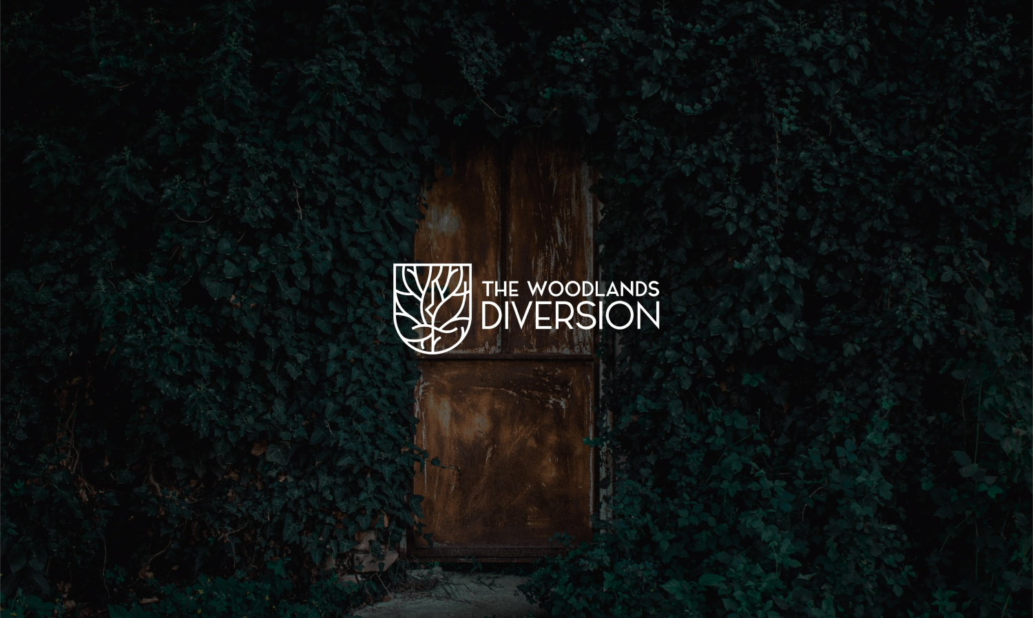 pt5-Woodland Diversion-06