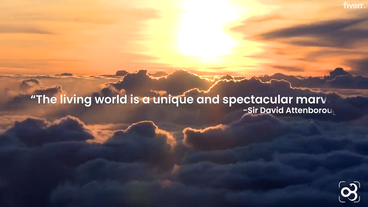 pt-th10-videoframe_1452