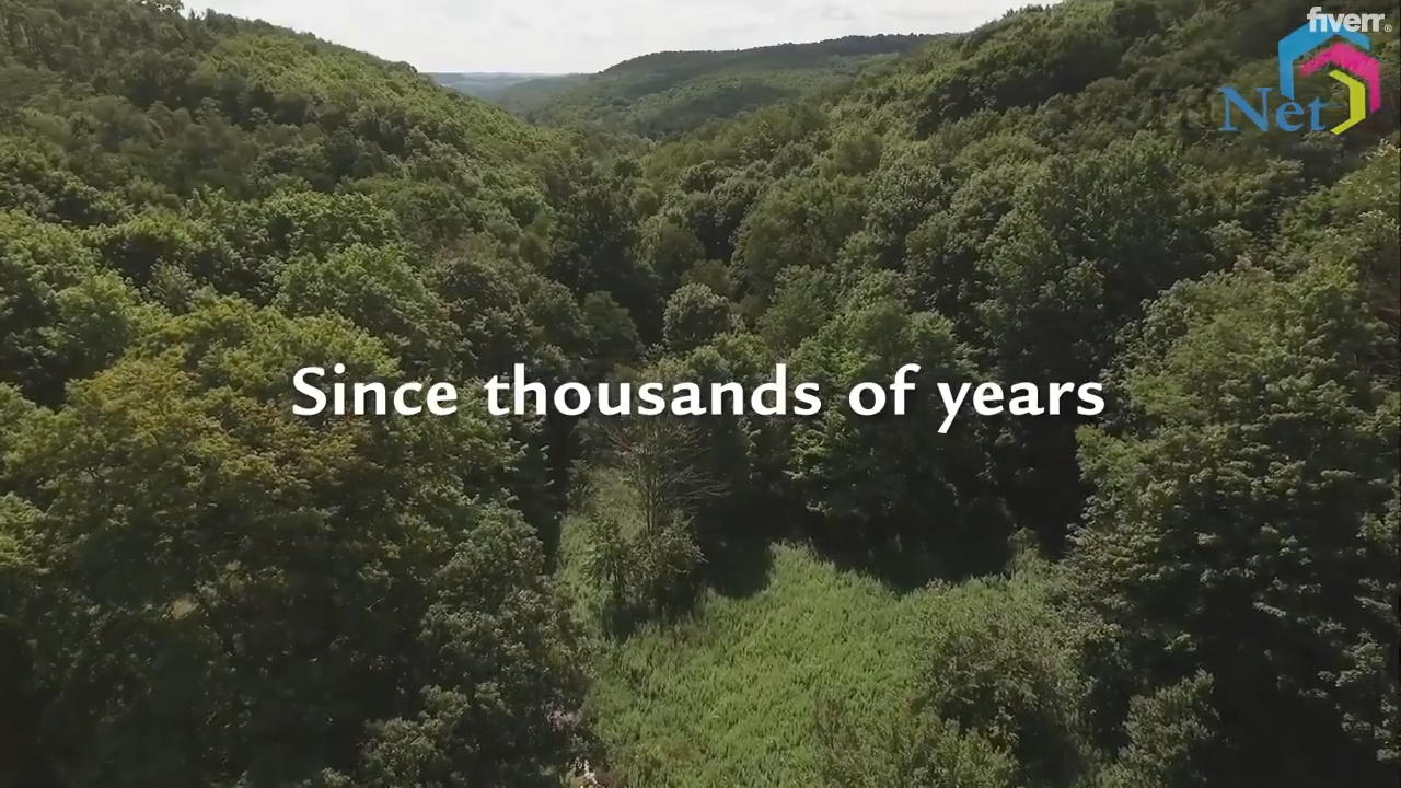 pt-th3-videoframe_988